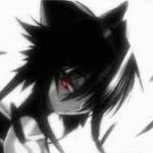 Meet your Posher, Raven